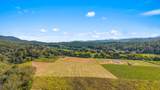 00 Tree Top Lane - Photo 15
