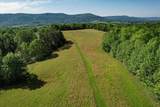 100 Ac Mill Dam Road Lane - Photo 37