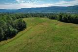 100 Ac Mill Dam Road Lane - Photo 38