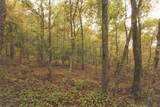 0 Green Ridge Trail - Photo 11
