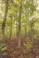 0 Green Ridge Trail - Photo 14