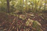 0 Green Ridge Trail - Photo 16