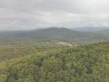 0 Green Ridge Trail - Photo 22