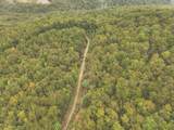 0 Green Ridge Trail - Photo 23