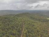 0 Green Ridge Trail - Photo 25
