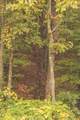 0 Green Ridge Trail - Photo 27