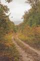 0 Green Ridge Trail - Photo 28