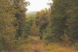 0 Green Ridge Trail - Photo 31