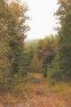0 Green Ridge Trail - Photo 32