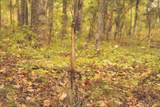 0 Green Ridge Trail - Photo 35