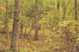 0 Green Ridge Trail - Photo 36