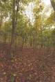 0 Green Ridge Trail - Photo 38