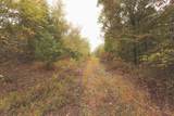 0 Green Ridge Trail - Photo 40