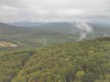 0 Green Ridge Trail - Photo 44