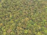 0 Green Ridge Trail - Photo 45