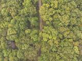 0 Green Ridge Trail - Photo 47