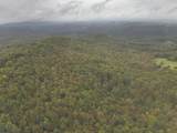 0 Green Ridge Trail - Photo 48
