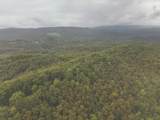 0 Green Ridge Trail - Photo 49