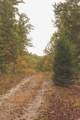 0 Green Ridge Trail - Photo 5