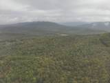 0 Green Ridge Trail - Photo 53
