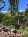 0 Dug Gap Road - Photo 4