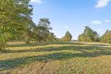 0 Whitetail Lot 133 Way - Photo 2