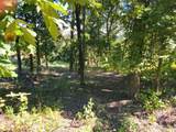Lot 272 Spruce Drive - Photo 8