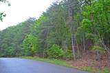 8805 Terrace Falls Drive - Photo 4