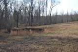 90+/-Acres Old Rhea Springs Road - Photo 8