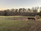 5146 Griffith Road - Photo 63