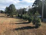 16697 Star Circle - Photo 1
