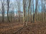 029    003 Smith Mountain - Photo 1