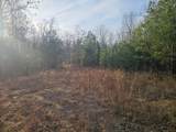 029    003 Smith Mountain - Photo 10