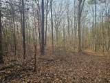 029    003 Smith Mountain - Photo 11