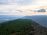 029    003 Smith Mountain - Photo 12