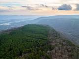 029    003 Smith Mountain - Photo 14