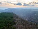 029    003 Smith Mountain - Photo 15