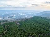 029    003 Smith Mountain - Photo 19