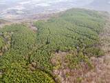029    003 Smith Mountain - Photo 22