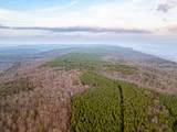029    003 Smith Mountain - Photo 24