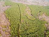 029    003 Smith Mountain - Photo 28
