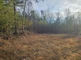029    003 Smith Mountain - Photo 3
