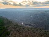 029    003 Smith Mountain - Photo 34