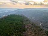 029    003 Smith Mountain - Photo 35