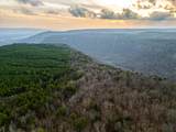 029    003 Smith Mountain - Photo 36