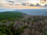029    003 Smith Mountain - Photo 39