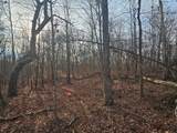 029    003 Smith Mountain - Photo 4