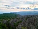 029    003 Smith Mountain - Photo 43