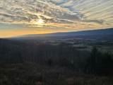 029    003 Smith Mountain - Photo 7