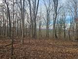 029    003 Smith Mountain - Photo 8